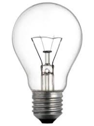 Lampadina 220V/100W E 27