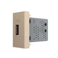 Presa USB Livolo colore dorato