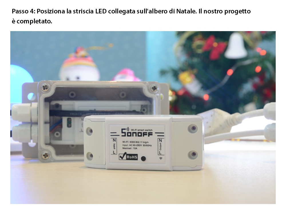 Custodia resistente all’acqua per il relè Sonoff IP66