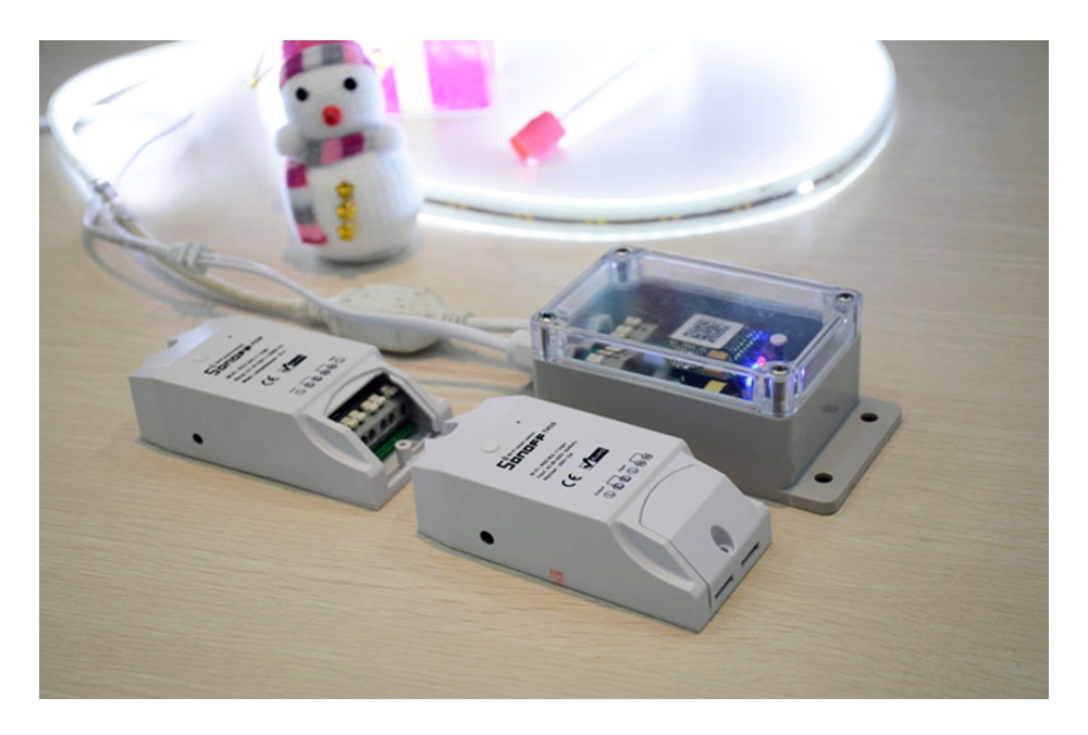 Custodia resistente all’acqua per il relè Sonoff IP66