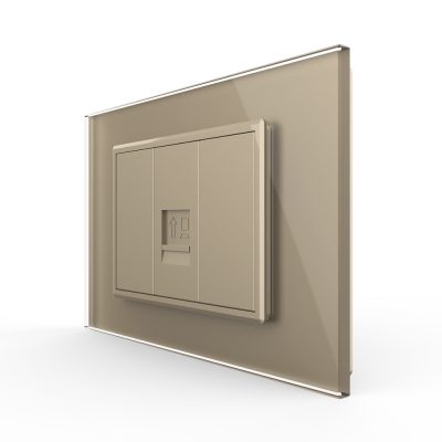 Presa internet Livolo con cornice in vetro – standard italiano colore dorato