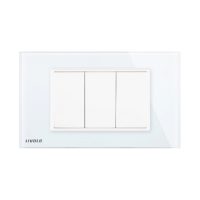 Presa falsa – vuota Livolo con cornice in vetro – standard italiano
