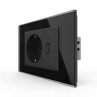 Presa Schuko con USB Livolo Standard italiano colore nero