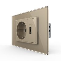 Presa Schuko con USB Livolo Standard italiano colore dorato