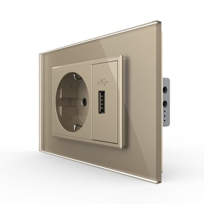 Presa Schuko con USB Livolo Standard italiano colore dorato