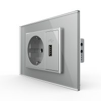Presa Schuko con USB Livolo Standard italiano colore griggio