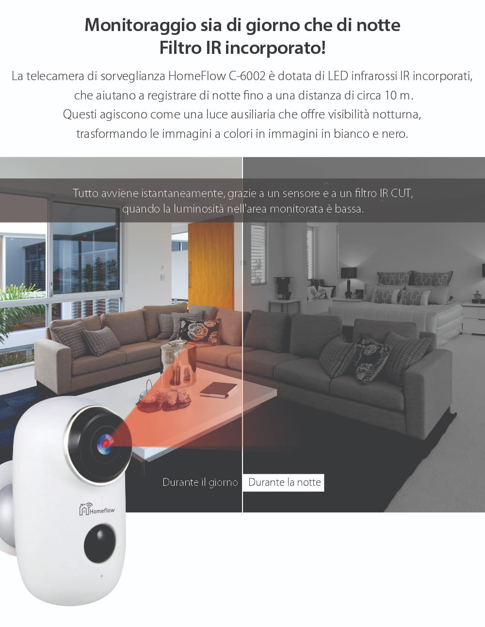 Telecamera di sorveglianza intelligente Wireless Homeflow C-6002, Comunicazione bidirezionale, Rilevamento movimento