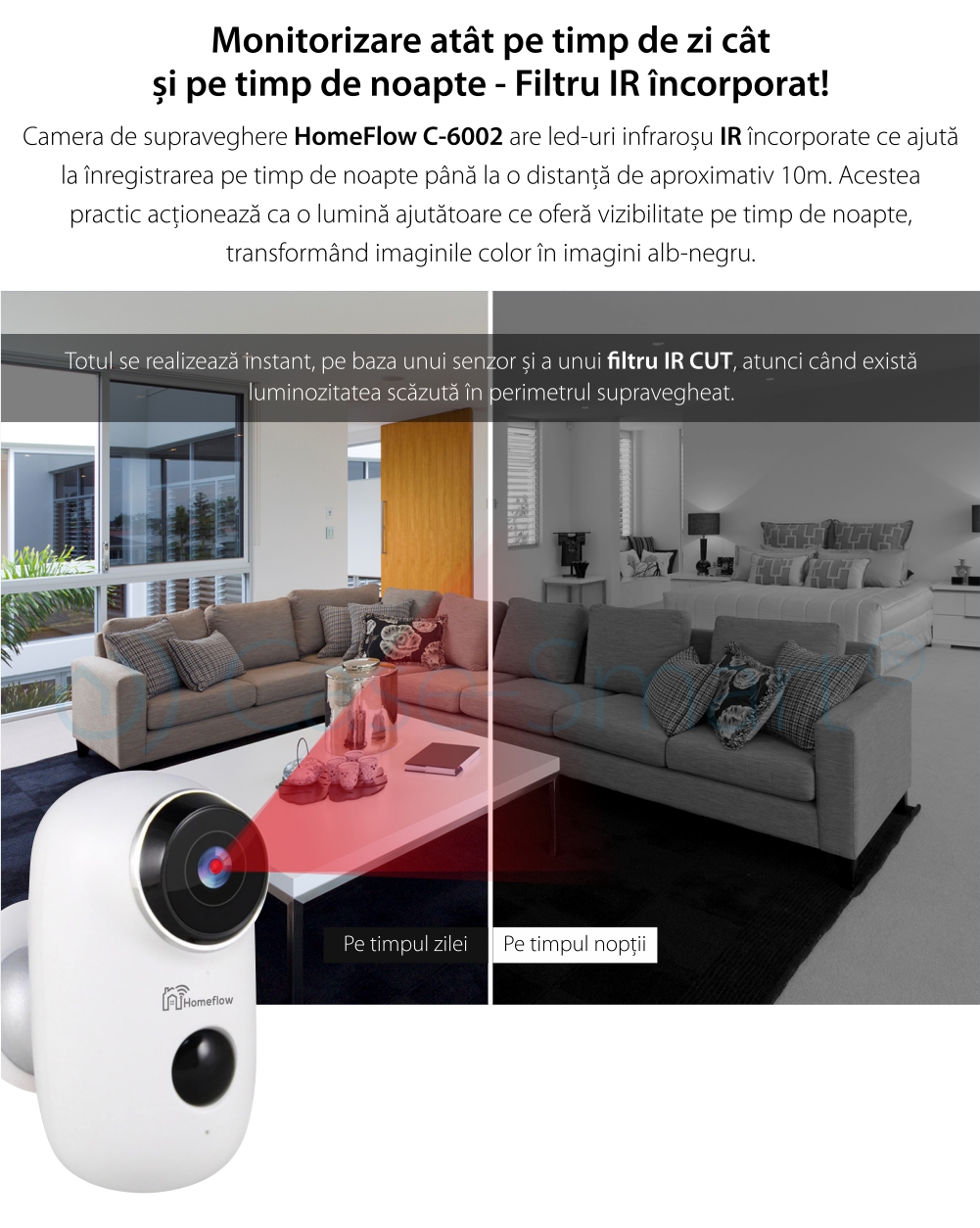 Telecamera di sorveglianza intelligente Wireless Homeflow C-6002, Comunicazione bidirezionale, Rilevamento movimento