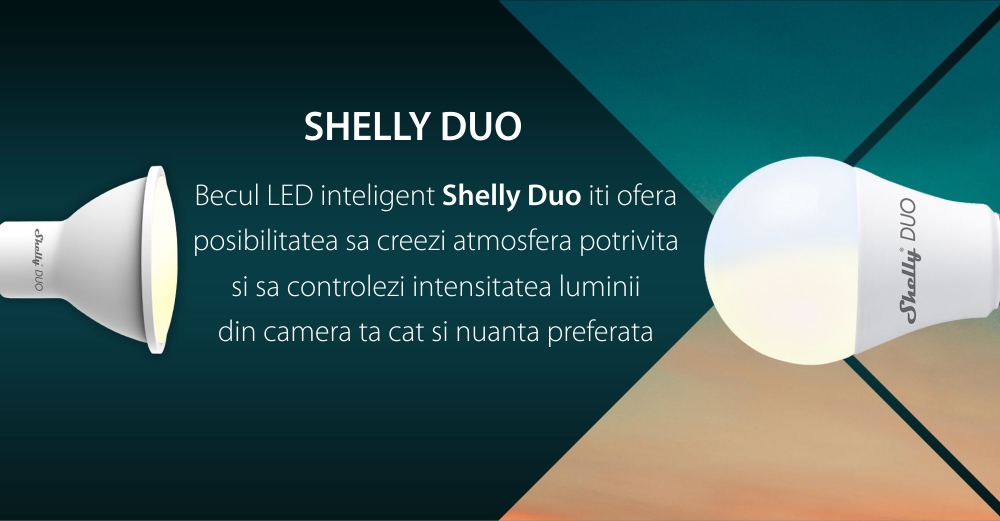 Lampadina LED intelligente Shelly Duo, Wi-Fi, E27, 9W, Temperatura del colore 800 LM