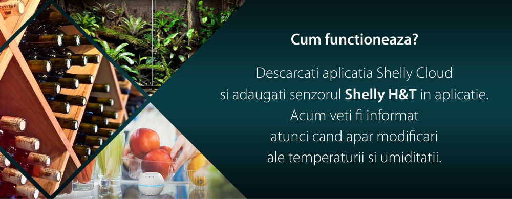 Sensore di temperatura e umidità Shelly H&T, Wi-Fi, Monitoraggio tramite app, Verifica storico