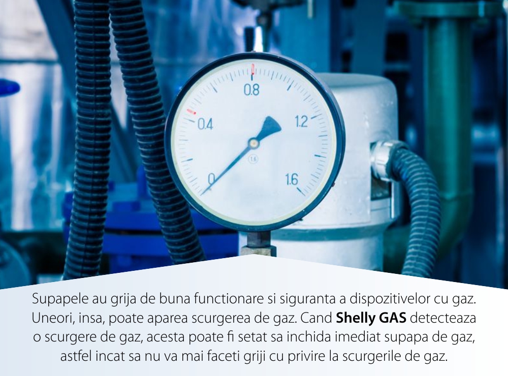 Sensore rilevatore di gas naturale compresso Shelly Gas CNG, Wireless, Allarme 70 dB, Notifiche tramite app