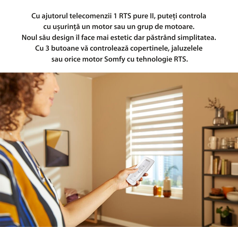 Telecomando Somfy Situo 1 RTS Pure II EE, per il controllo di dispositivi e gruppi