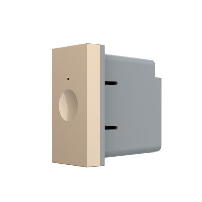 Modulo interruttore touch Livolo 1M standard italiano – Nuova serie colore dorato