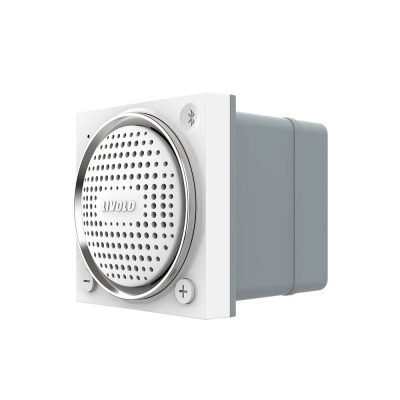 Modulo Altoparlante Bluetooth Livolo con Cornice in Vetro