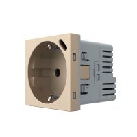 Modulo Presa Schuko + USB-C LIVOLO – Nuova Serie colore dorato