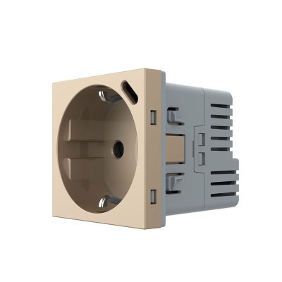 Modulo Presa Schuko + USB-C LIVOLO – Nuova Serie colore dorato