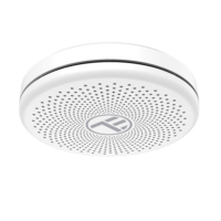 Sensore intelligente di fumo e monossido di carbonio (CO) Tellur, Notifiche, Allarme, Applicazione