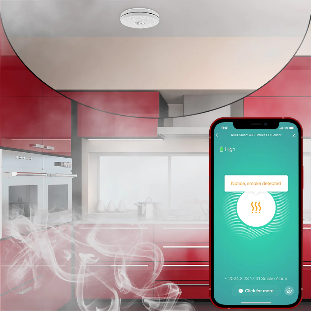 Sensore intelligente di fumo e monossido di carbonio (CO) Tellur, Notifiche, Allarme, Applicazione