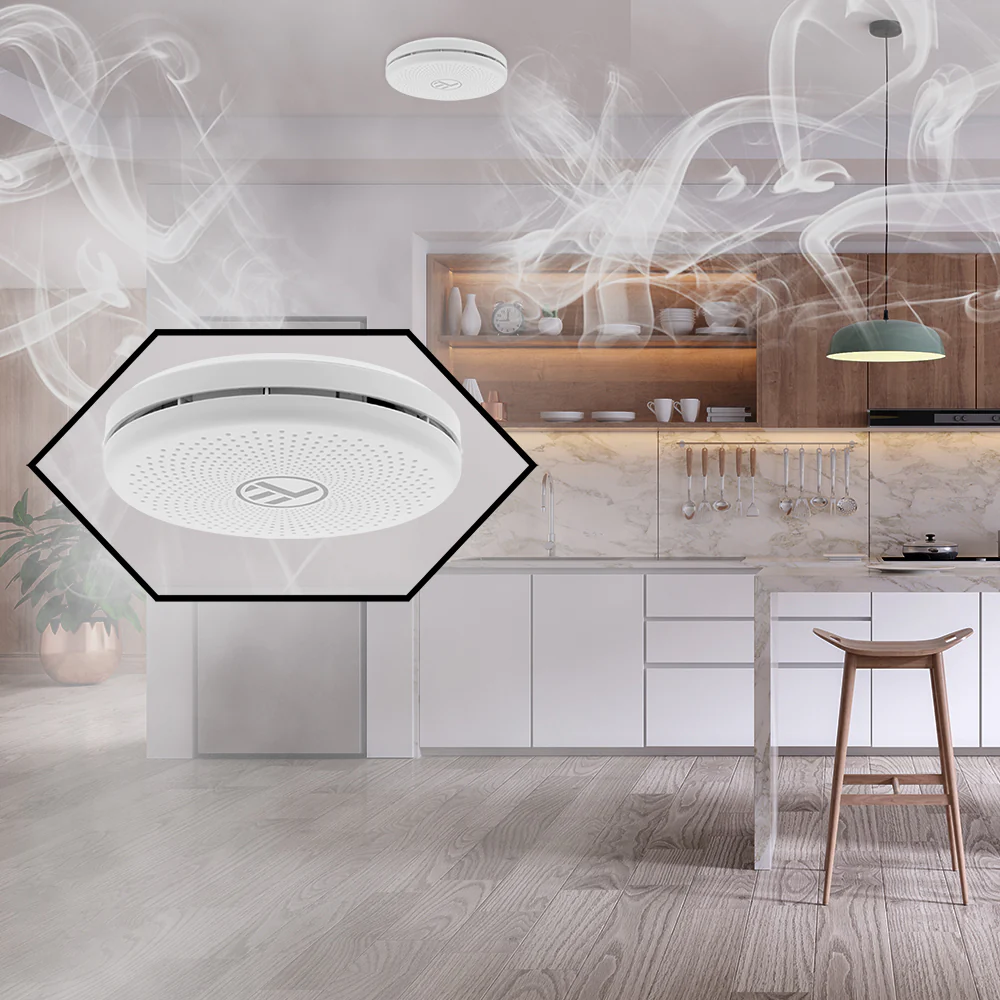Sensore intelligente di fumo e monossido di carbonio (CO) Tellur, Notifiche, Allarme, Applicazione