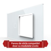 Pannello Interruttore Semplice con Presa LIVOLO in Vetro, Standard Italiano – 4M