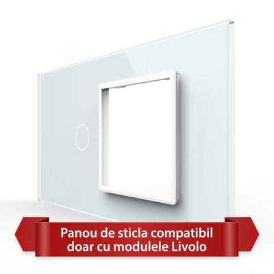 Pannello Interruttore Semplice con Presa LIVOLO in Vetro, Standard Italiano – 4M