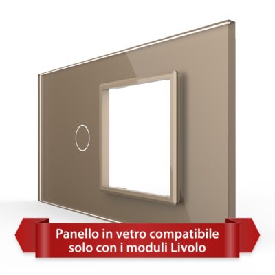 Pannello Interruttore Semplice con Presa LIVOLO in Vetro, Standard Italiano – 4M colore dorato