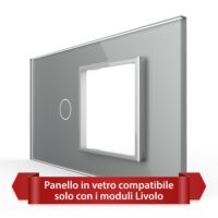 Pannello Interruttore Semplice con Presa LIVOLO in Vetro, Standard Italiano – 4M colore griggio