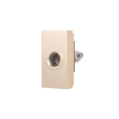 Modulo Presa TV 1M LUXION, Standard Italiano colore dorato