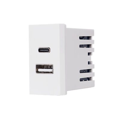 Modulo USB A+C 1M LUXION