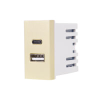 Modulo USB A+C 1M LUXION colore dorato