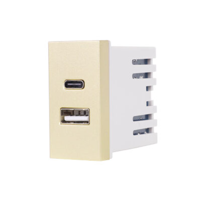 Modulo USB A+C 1M LUXION colore dorato
