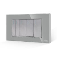 Interruttore Meccanico 5 Posizioni LUXION con Placca in Vetro, Standard Italiano, 4M colore griggio