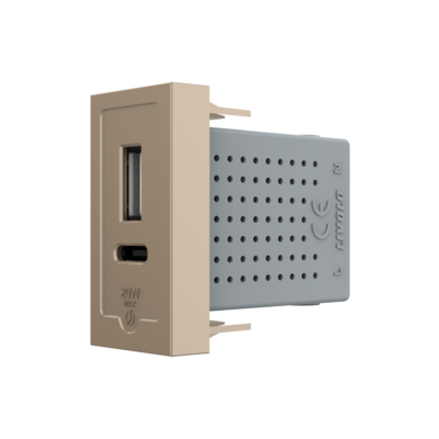 Modulo Presa USB-A + USB-C, 20W LIVOLO colore dorato
