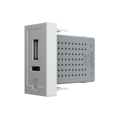 Modulo Presa USB-A + USB-C, 20W LIVOLO colore griggio